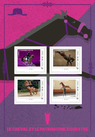 COLLECTOR_Le cheval et le patrimoine equestre