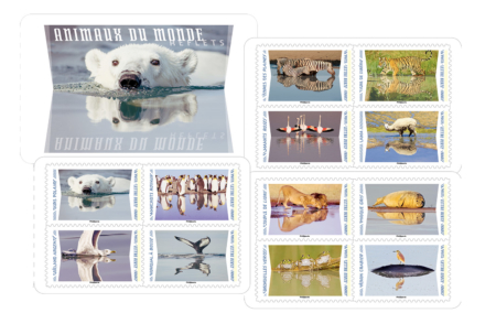 Carnet Reflets d'animaux