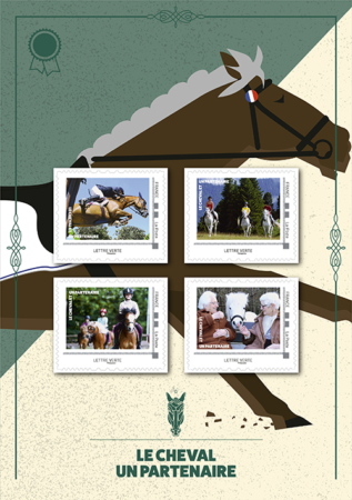 Collector le cheval partenaire