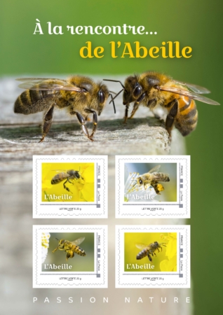 COLLECTOR ABEILLE SPA 2025