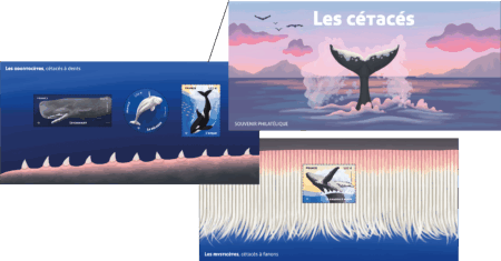 Souvenir les cetaces
