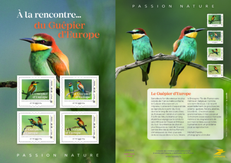 collector guepier d'europe recto verso