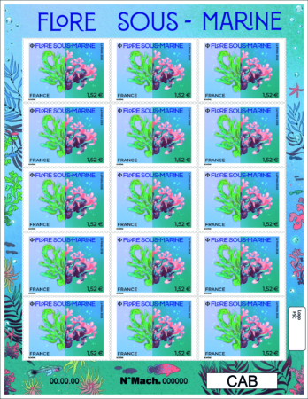 Feuille flore sous-marine