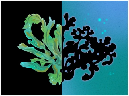 flore sous marine encre phosphorescente